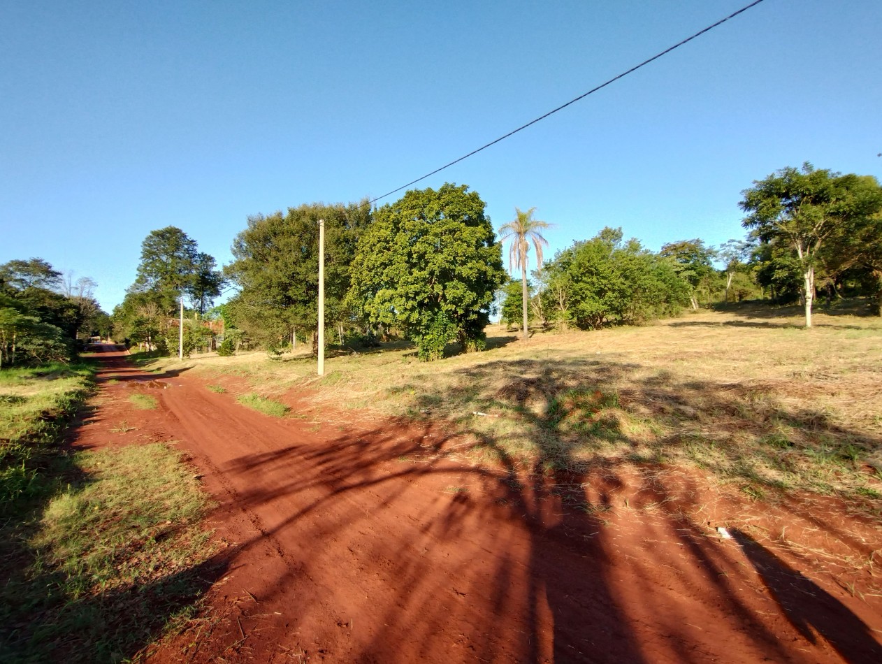 Con Titulo
