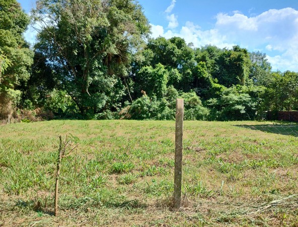 Terreno de 1090m2 sobre calle Paraguay!