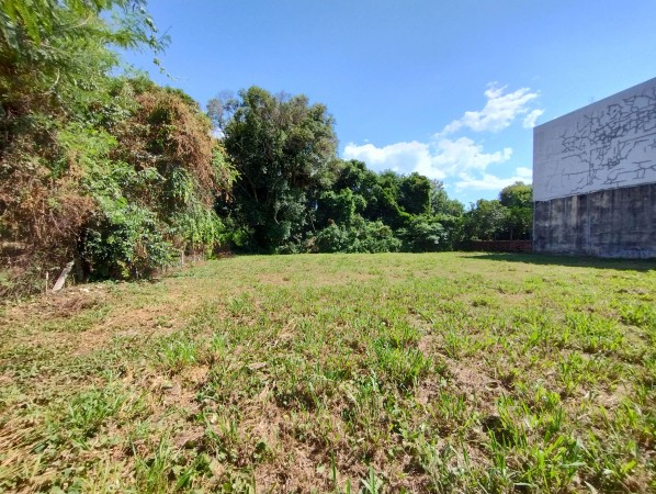 Terreno de 1090m2 sobre calle Paraguay!
