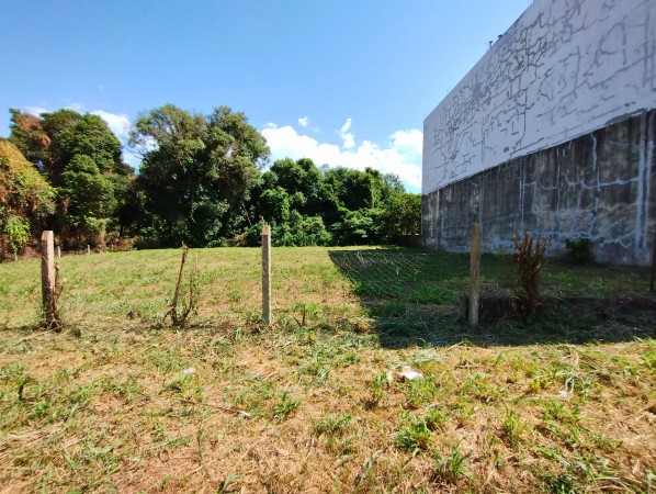 Terreno de 1090m2 sobre calle Paraguay!