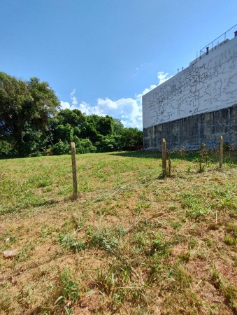 Terreno de 1090m2 sobre calle Paraguay!