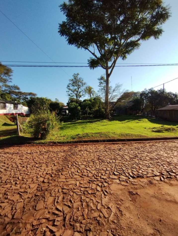 Terreno Sobre Avenida San Martin